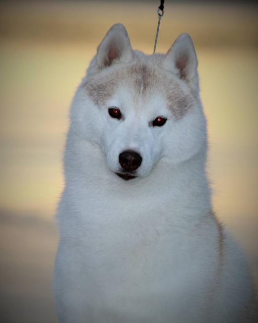 Mister 8 god (2).jpg